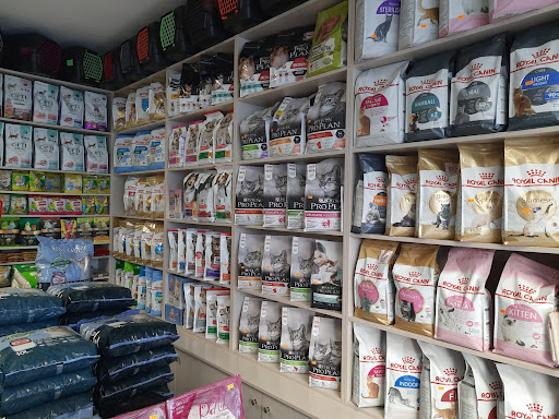Han Petshop | Kağıthane İstanbul - Evcil Hayvan Malzemeleri Mağazası