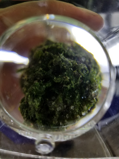 Mexican Restaurant «El Pollo Loco», reviews and photos, 2281 Sunrise Blvd, Rancho Cordova, CA 95670, USA