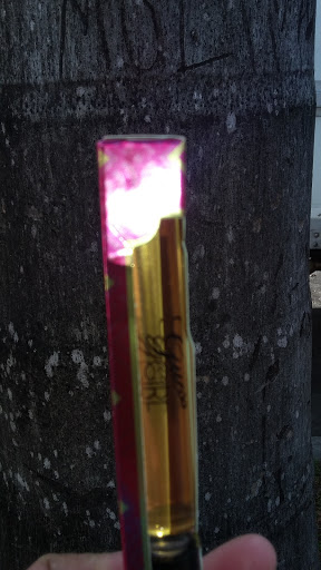 Liquor Store «Cruz Liquor Store», reviews and photos, 425 NW 12th Ave J, Miami, FL 33128, USA