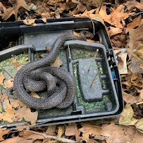 Tiger Town Pest Solutions - Photo 9 - Car repair in Arlington, TN, Memphis