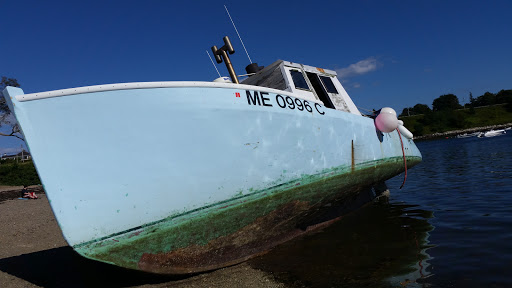 Nature Preserve «Johnson Field Preserve at Mackerel Cove», reviews and photos, 25 Abner Point Rd, Bailey Island, ME 04003, USA