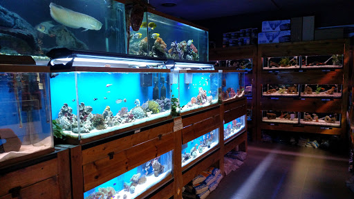 Pet Store «Animal Attraction», reviews and photos, 2518 11th Ave, Greeley, CO 80631, USA