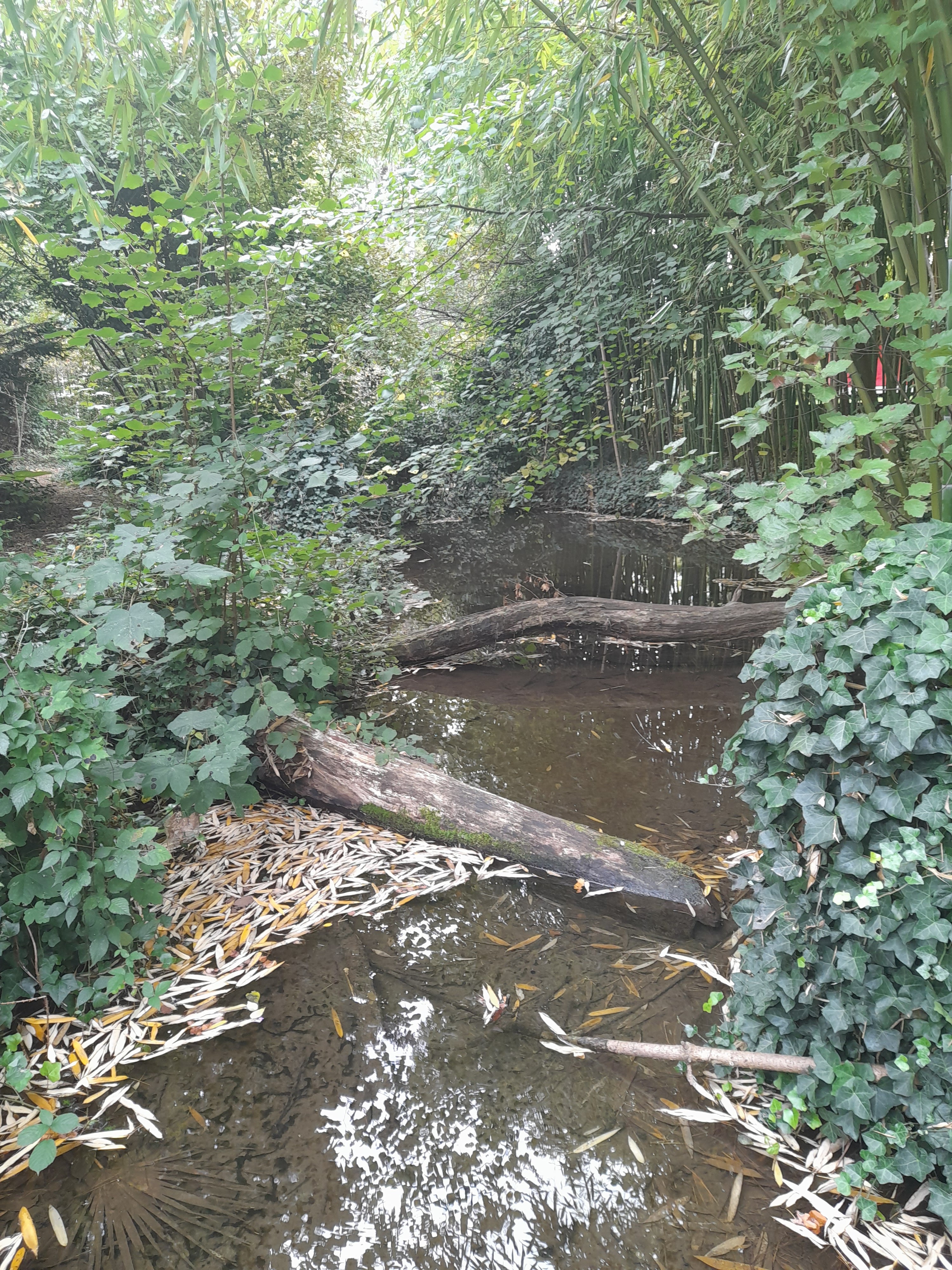 Photo n° 6 de l'avis de Tavernier.h fait le 16/10/2022 à 17:48