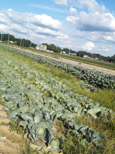 Farm «Four Town Farm», reviews and photos, 90 George St, Seekonk, MA 02771, USA