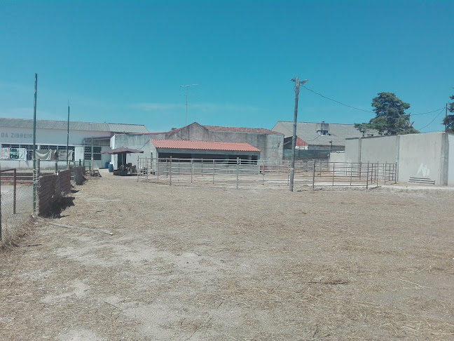 Avaliações doCasa Do Povo De Zibreira em Torres Novas - Outro