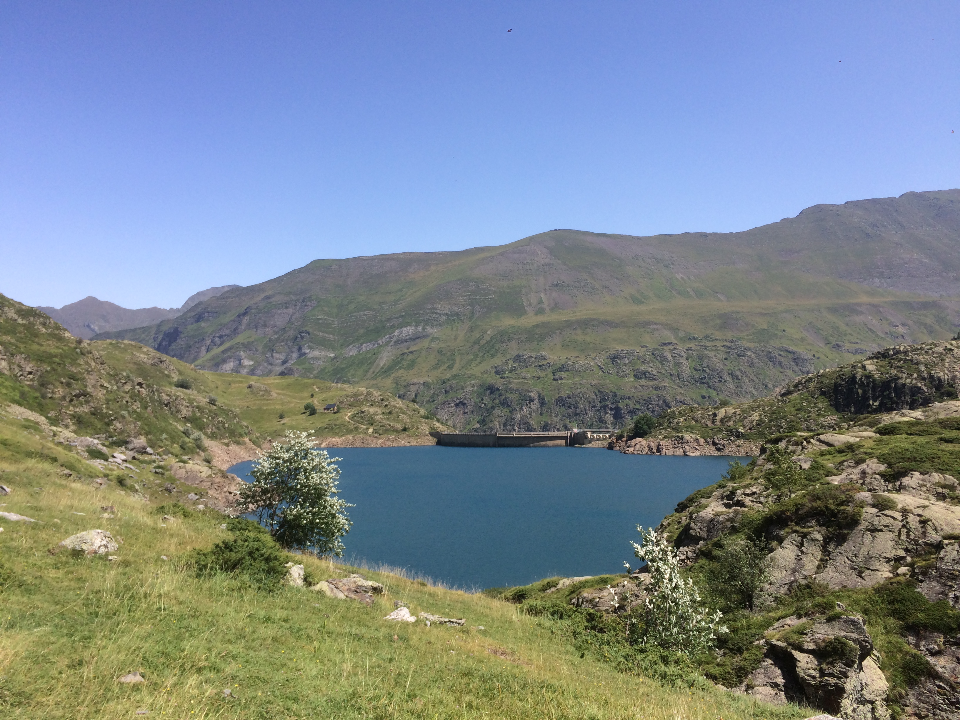 Photo n° 1 de l'avis de Nicolas.a fait le 31/07/2020 à 16:21