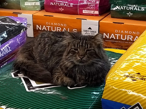 Hardware Store «Valley Park Elevator & Hardware», reviews and photos, 2 Marshall Rd, Valley Park, MO 63088, USA