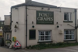 Fox & Grapes image