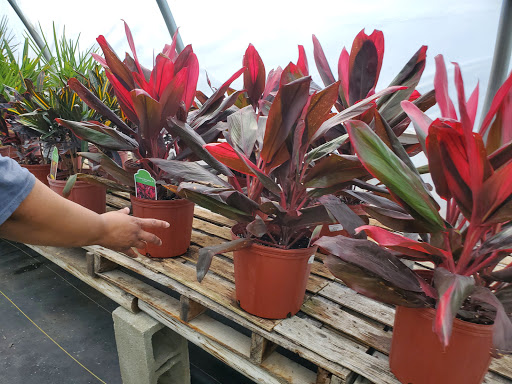 Garden Center «Beachside Gardens & Gifts», reviews and photos, 3725 US-12, Michigan City, IN 46360, USA