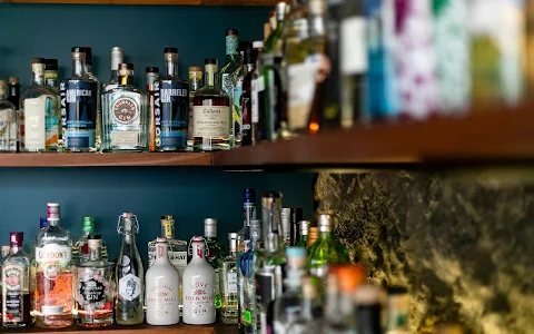 The Gin Library image