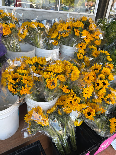 Grocery Store «Whole Foods Market», reviews and photos, 415 Newport Center Dr, Newport Beach, CA 92660, USA