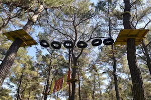 Macera Ormanı image