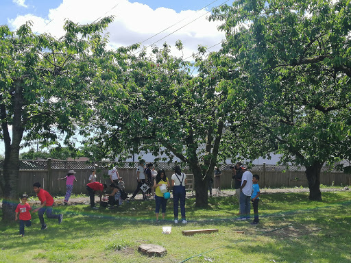 Cherry Lane Farm