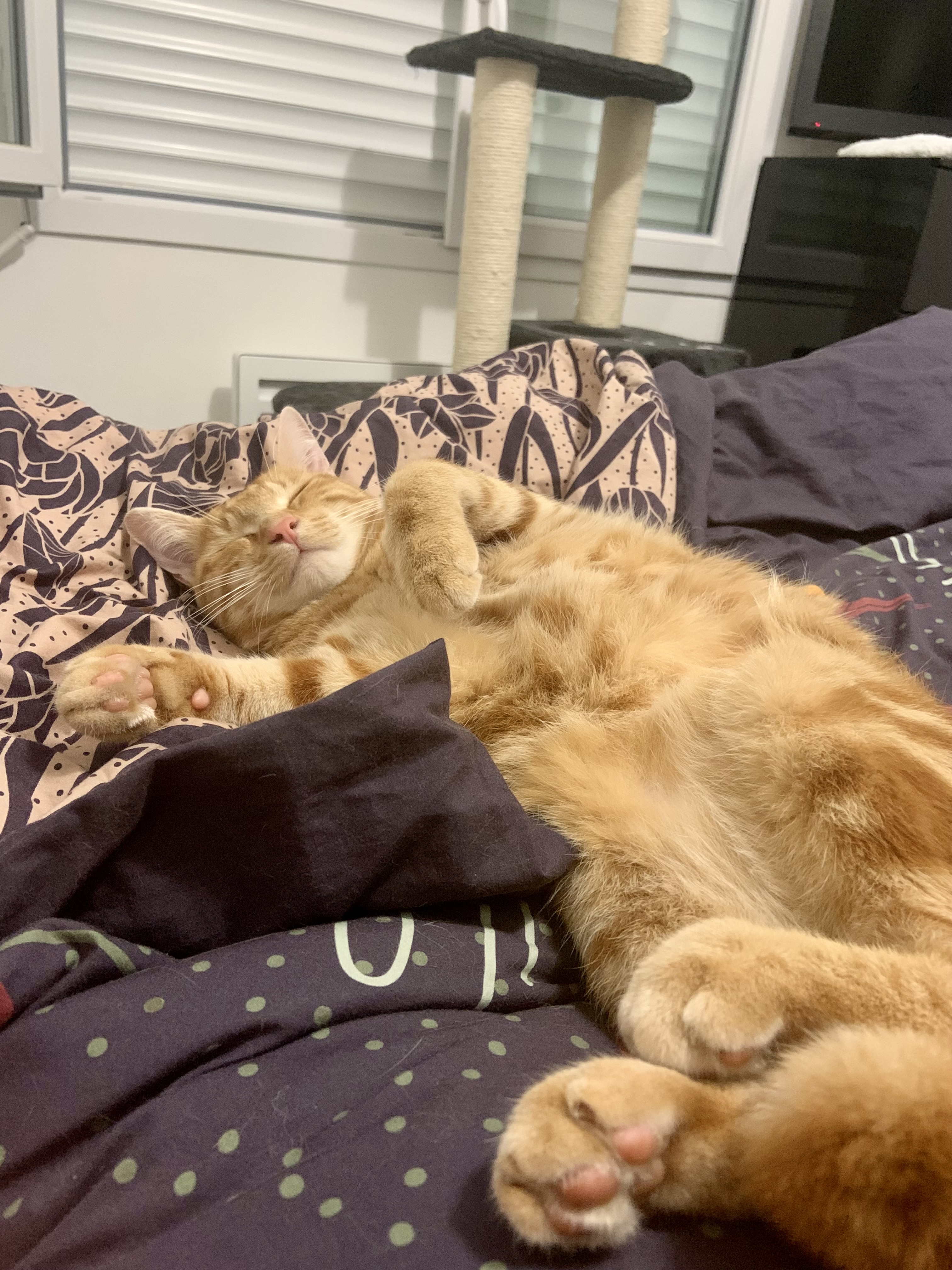 Photo n° 3 de l'avis de Chloé.a fait le 16/06/2023 à 15:42