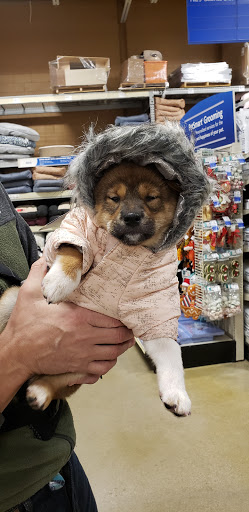 Pet Supply Store «PetSmart», reviews and photos, 162 S Gary Ave, Bloomingdale, IL 60108, USA