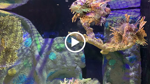 Insurance Agency «Tom Luscombe - State Farm Insurance Agent», reviews and photos