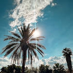 Photo n°5 de l'avis de Paulina.o fait le 30/09/2022 à 08:00 sur le  Villa dei leoni à Catania