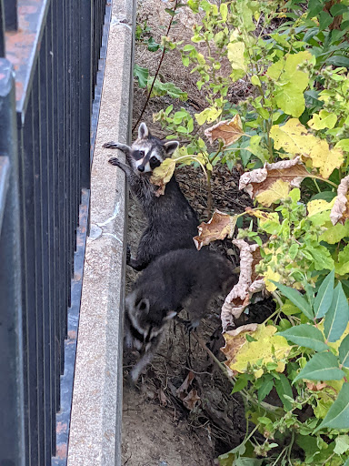 Park «Mt. Echo Park», reviews and photos, 202 Crestline Ave, Cincinnati, OH 45205, USA