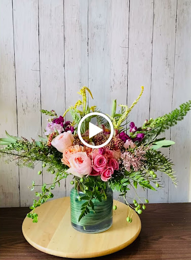 Gymnastics Center «Redwood Empire Gymnastics», reviews and photos, 434 Payran St, Petaluma, CA 94952, USA