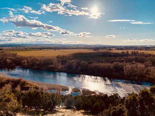 Lucky Dawg Cleaning, LLC