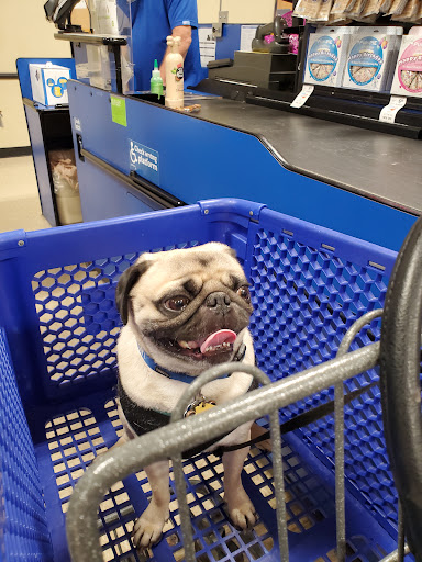 Pet Supply Store «PetSmart», reviews and photos, 1125 Quentin Rd, Lebanon, PA 17042, USA