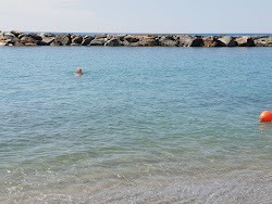 Spiaggia Belvedere Marittimo'in fotoğrafı geniş bir kıyı şeridi ile birlikte