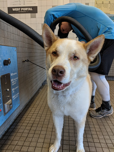 Pet Supply Store «Pet Food Express», reviews and photos, 5148 Stevens Creek Blvd, San Jose, CA 95129, USA