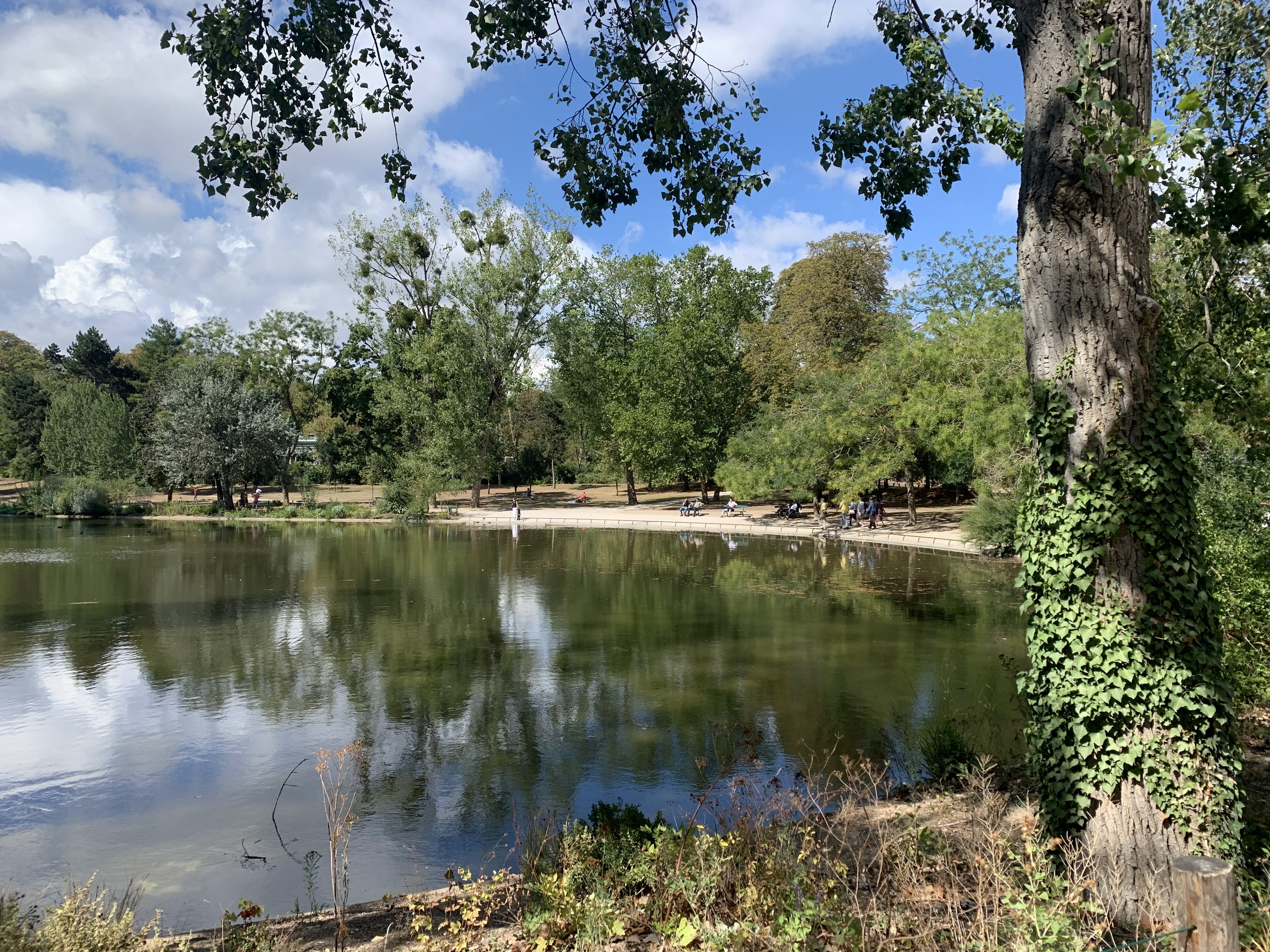 Photo n° 6 de l'avis de Laurent. fait le 30/08/2020 à 16:22