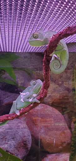 Pet Supply Store «Petco Animal Supplies», reviews and photos, 10 Waterfront Pl, Port Chester, NY 10573, USA