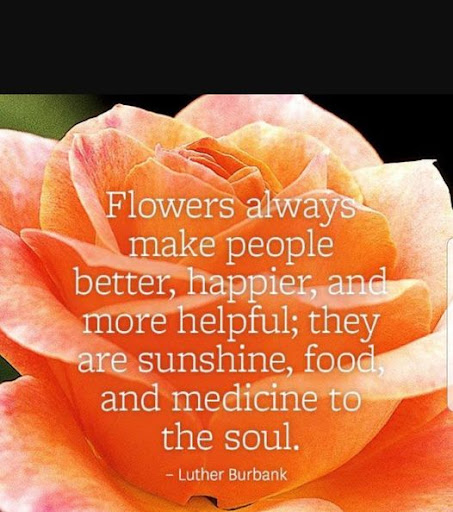 Florist «Tri-City Florist», reviews and photos, 1817 W Vista Way A, Vista, CA 92083, USA