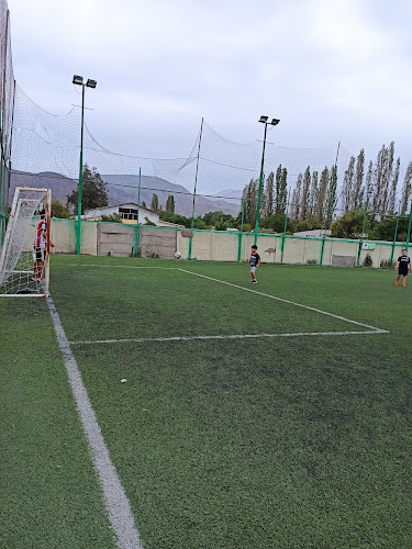 Opiniones de Futbolito Andino en Calle Larga - Campo de fútbol
