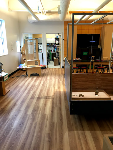 Learning Center «Imagine Nation Museum Early Learning Center», reviews and photos, 1 Pleasant St, Bristol, CT 06010, USA