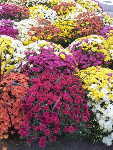 Home Improvement Store «The Home Depot», reviews and photos, 55 Weyman Ave, New Rochelle, NY 10805, USA