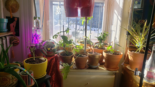 Hardware Store «Broadway Lumber Supplies», reviews and photos, 1146 Myrtle Ave, Brooklyn, NY 11206, USA