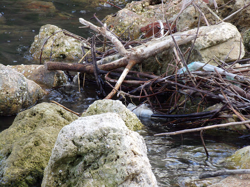 Park «Cocoa Riverfront Park», reviews and photos, 401 Riveredge Blvd, Cocoa, FL 32922, USA