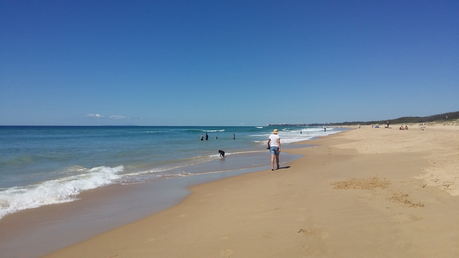 Φωτογραφία του Dog & Cat Beach με φωτεινή άμμος επιφάνεια