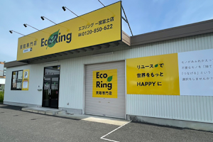 Eco Ring Ichinomiya Fuji image