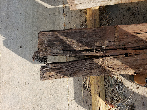 Home Improvement Store «Tractor Supply Co.», reviews and photos, 339 Rolling Hills Cir, Easley, SC 29640, USA