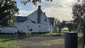 Streek-GR Dijleland