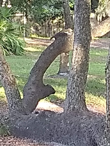 Park «Boston Hill Park», reviews and photos, 777 S Central Ave, Oviedo, FL 32765, USA