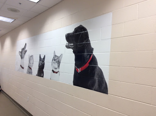 Commercial Printer «Heritage Printing & Graphics», reviews and photos, 2639 Connecticut Ave NW #110b, Washington, DC 20008, USA