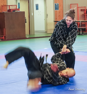 Hapkido - Sporting Club Mévennais à Saint-Méen-le-Grand
