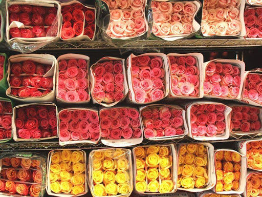 Gift Shop «Highland Flowers & Gifts», reviews and photos, 3 Church St, Vernon Township, NJ 07462, USA