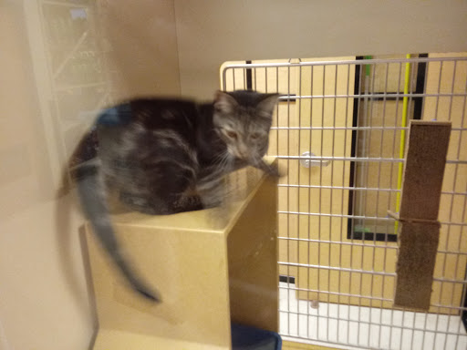 Pet Supply Store «PetSmart», reviews and photos, 1232 Hooper Ave, Toms River, NJ 08753, USA