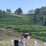 Photo n°5 de l'avis de maurizio.a fait le 23/01/2024 à 12:52 sur le  La Costa - GALBUSERA NERA - Ristorante e Cantina à Rovagnate