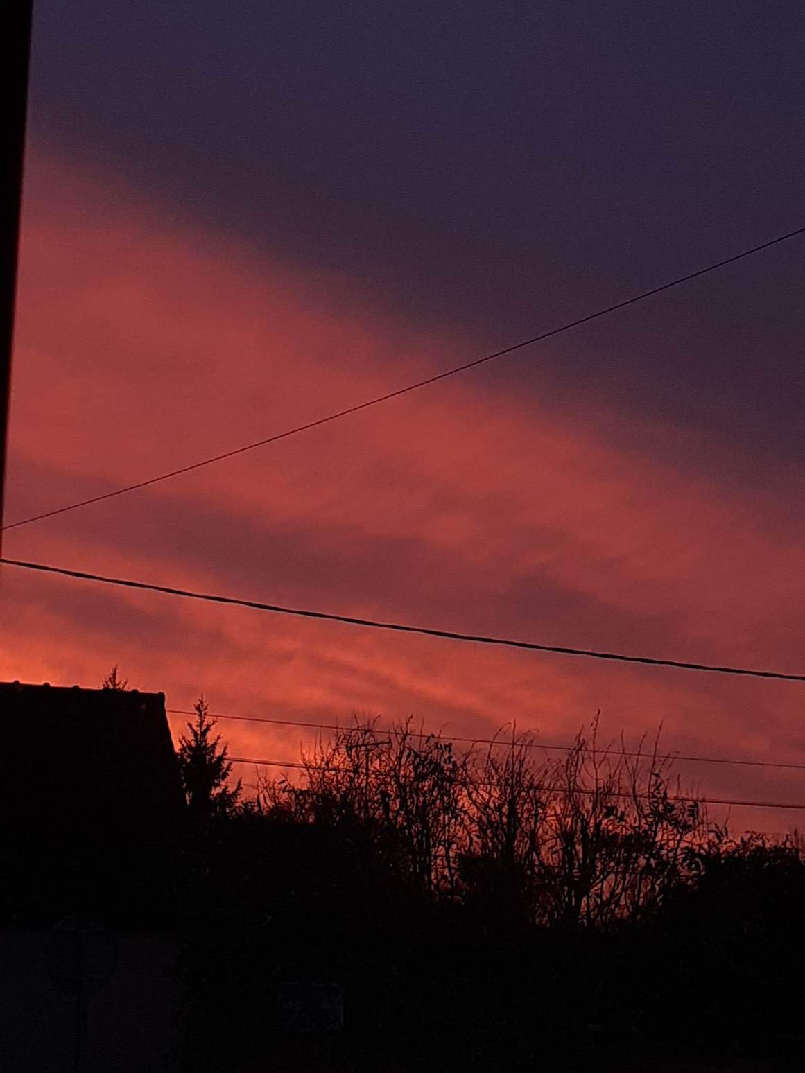 Photo n° 1 de l'avis de Sandra.e fait le 12/10/2023 à 11:10