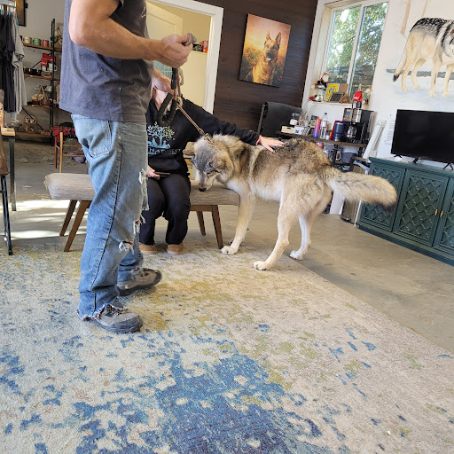 Judith A Bassett Canid Education & Conservation Center