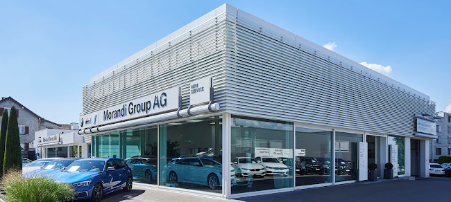 Carsolutions AG by Morandi Group
