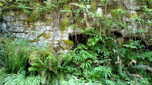 Tourist Attraction «Melmont ghost town», reviews and photos, Carbon River Rd, Carbonado, WA 98323, USA
