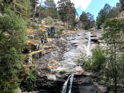 Bosque nacional – El Chorro – Navafría